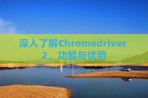 深入了解Chromedriver 2,功能与优势 深入了解Chromedriver 2,功能与优势